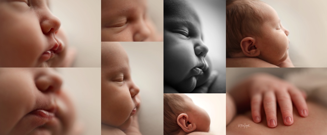 dc newborn photographer
