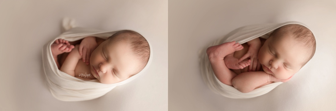 burke newborn photographer