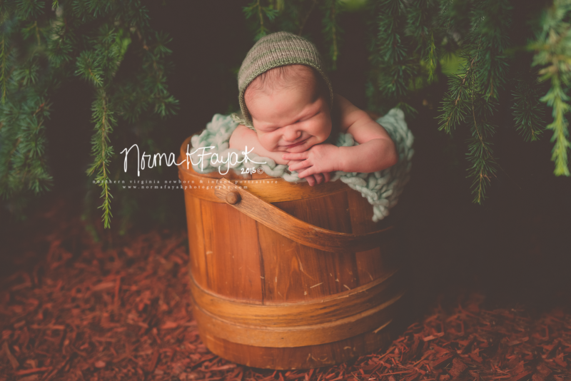 Alexandria_newborn_photographer