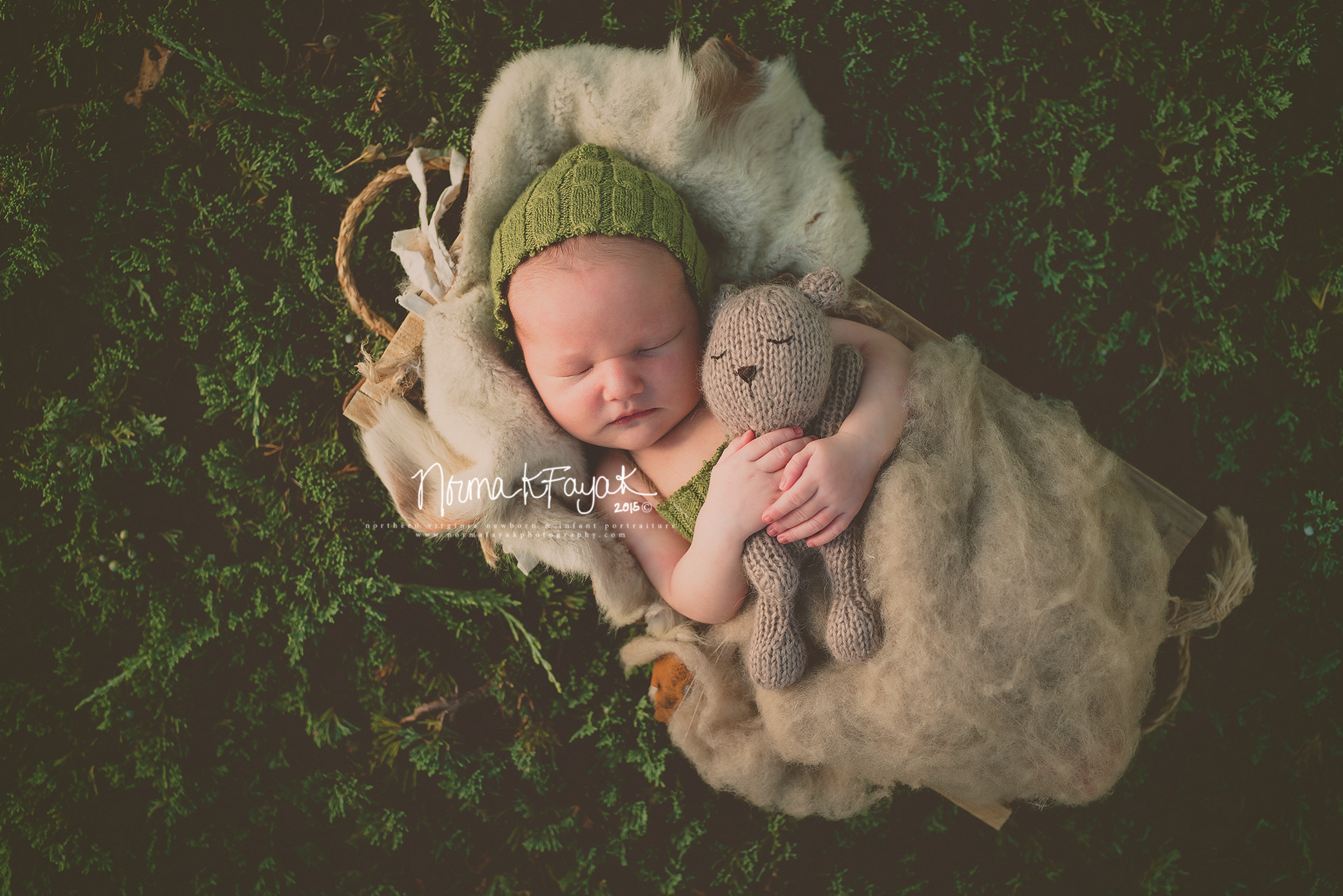 Fairfax_newborn_photographer