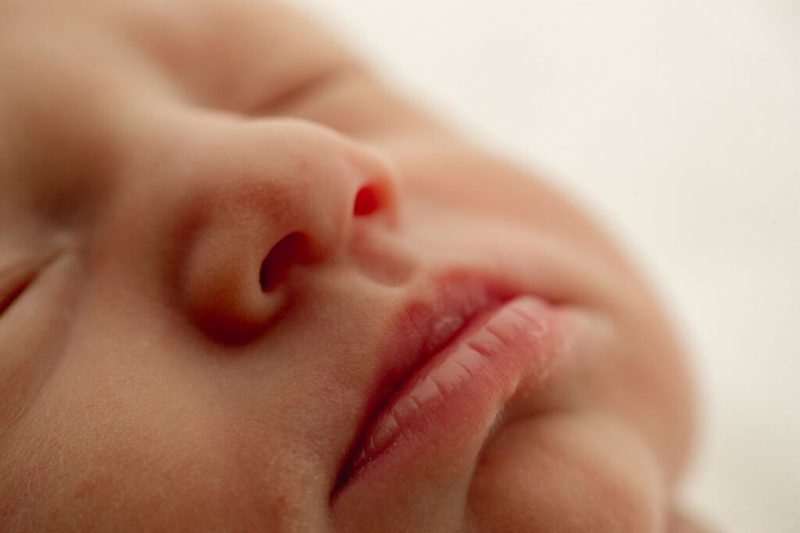 newborn macro photographer