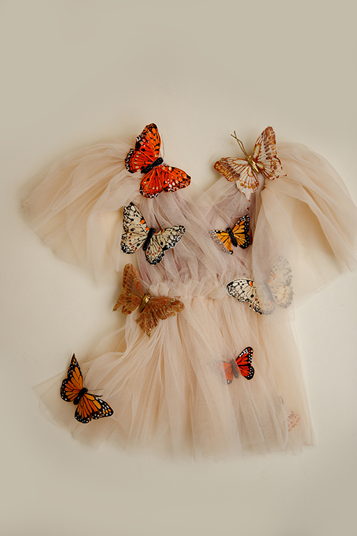 butterfly outfit for milestone session