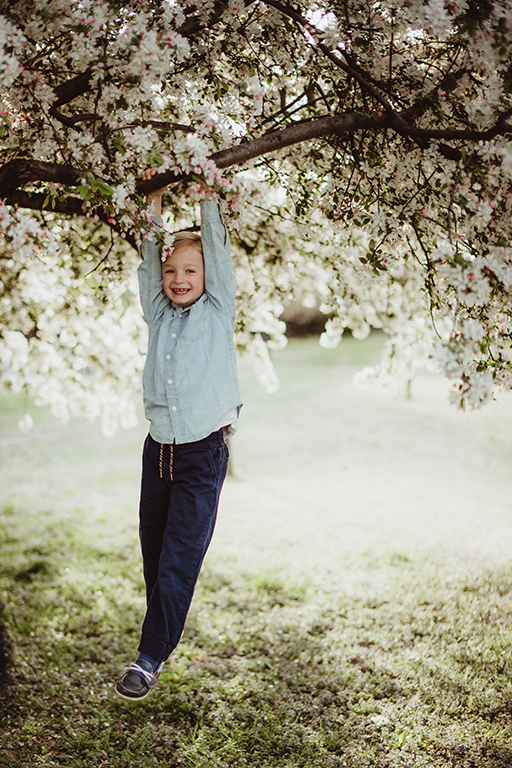 Arlington cherry blossom photographer
