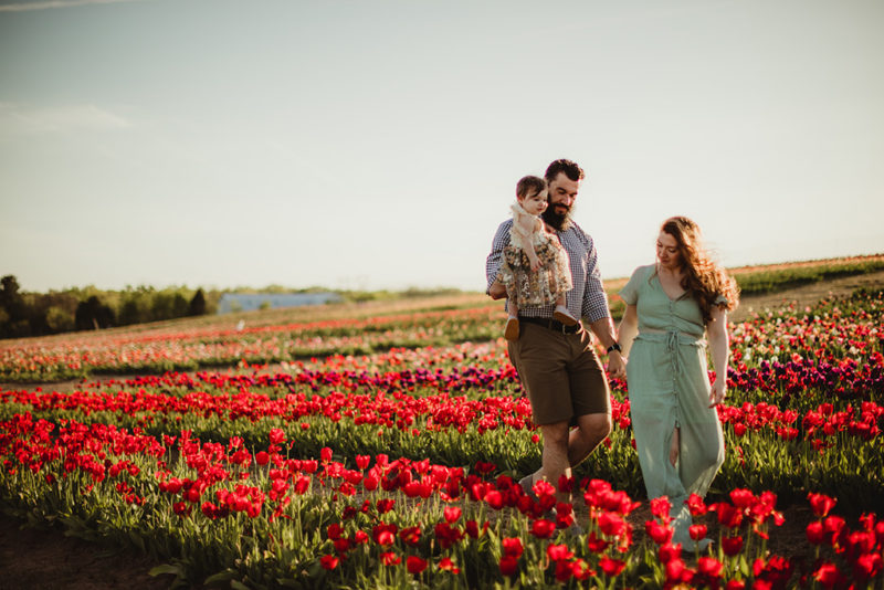 family photo shoot in tulips in N. Virginia