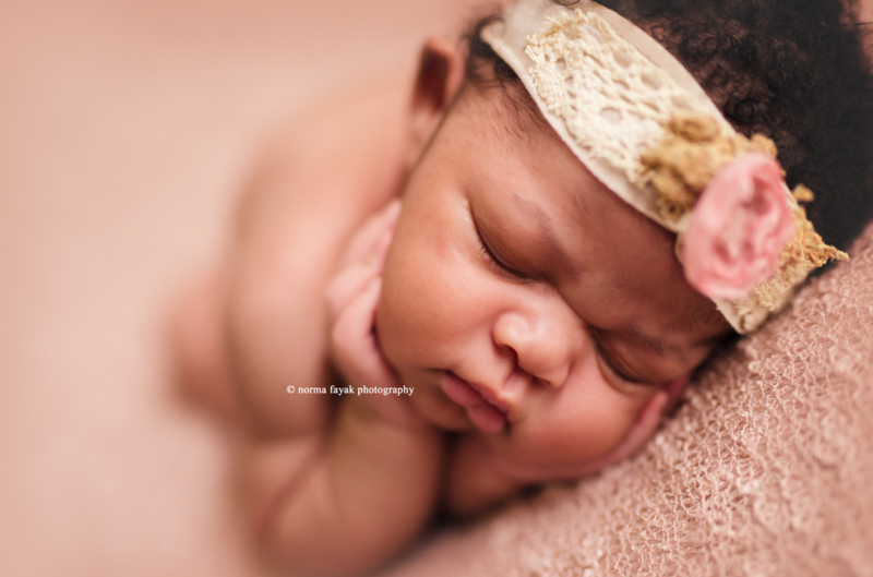 alexandria newborn photography