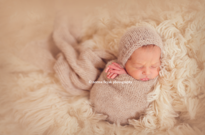 quantico newborn photographer 2
