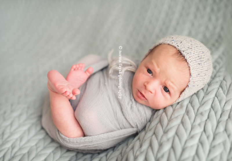 quantico newborn photographer 4