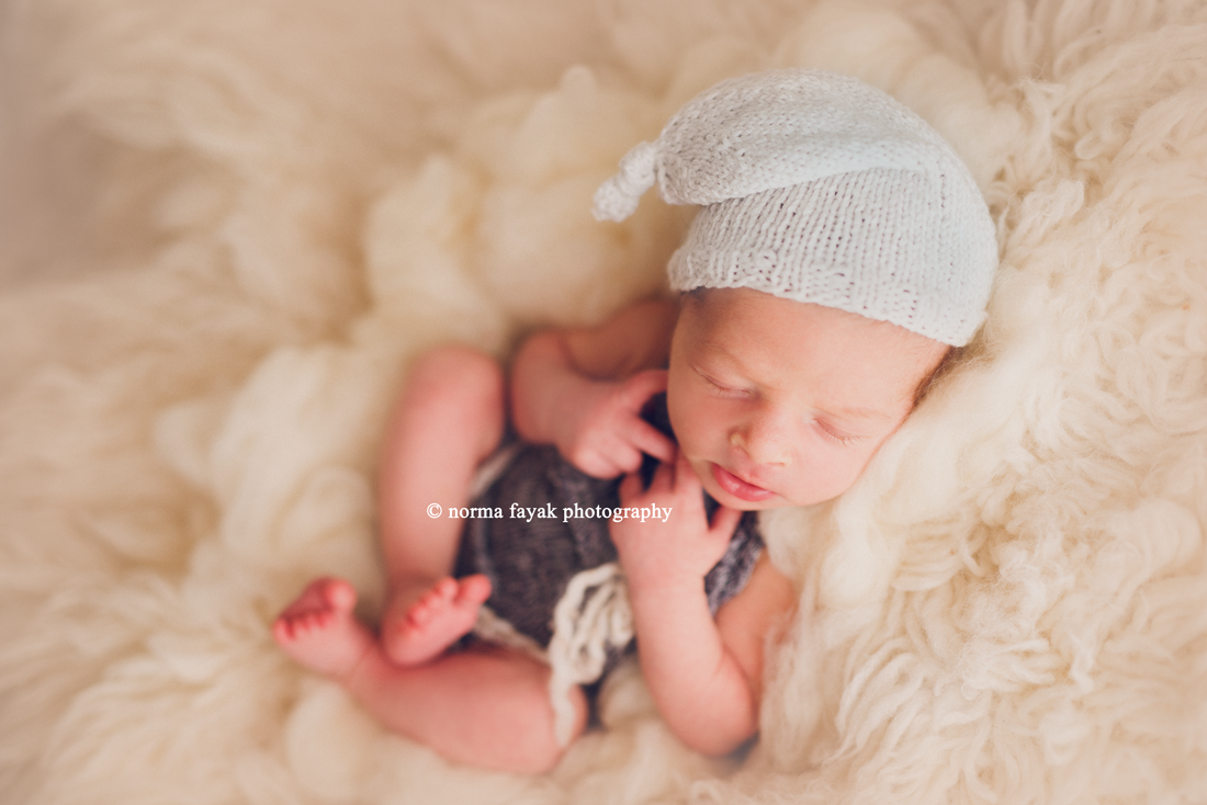 quantico newborn photographer 6
