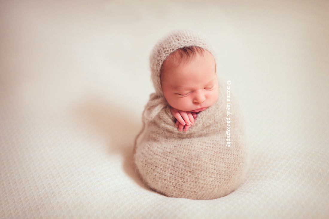 quantico newborn photographer