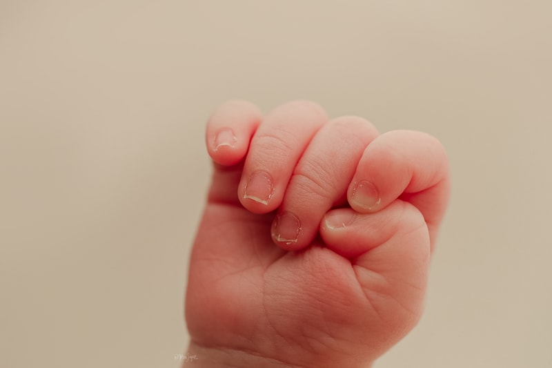 Newborn Photographer, a baby's close fist reveals baby's little finger nails