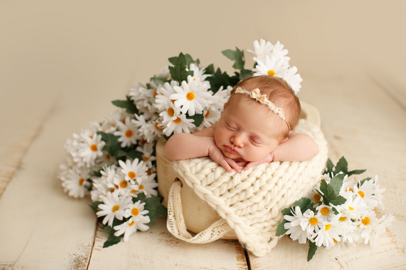 Newborn Photographer, a baby girl sleeps on her propped hands in a basket, daisies surround her