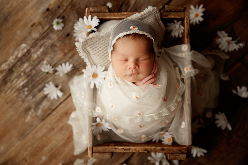 Newborn Photographer, a little baby is wrapped in linens and sleeping a wooden crate, daises scattered everywhere