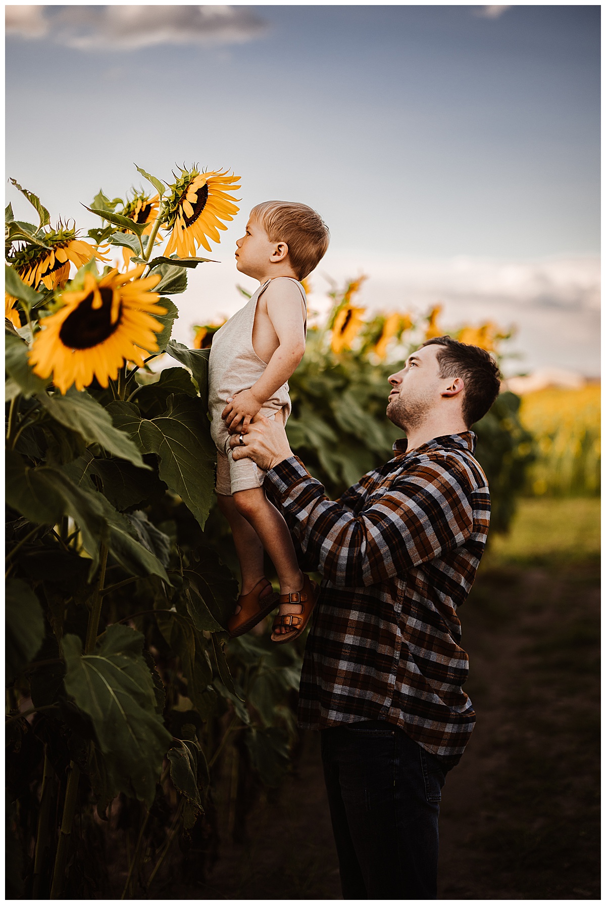 Dad holds up son in Sunflower Field 