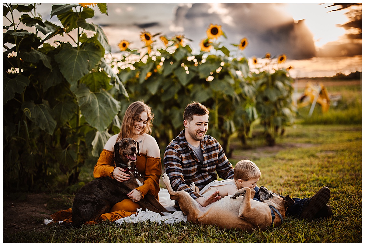 Family sits by Sunflower Field 
