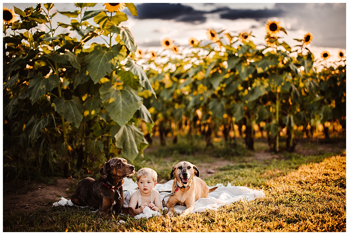 Dog and human brother sit together by Washington DC Family Photographer
