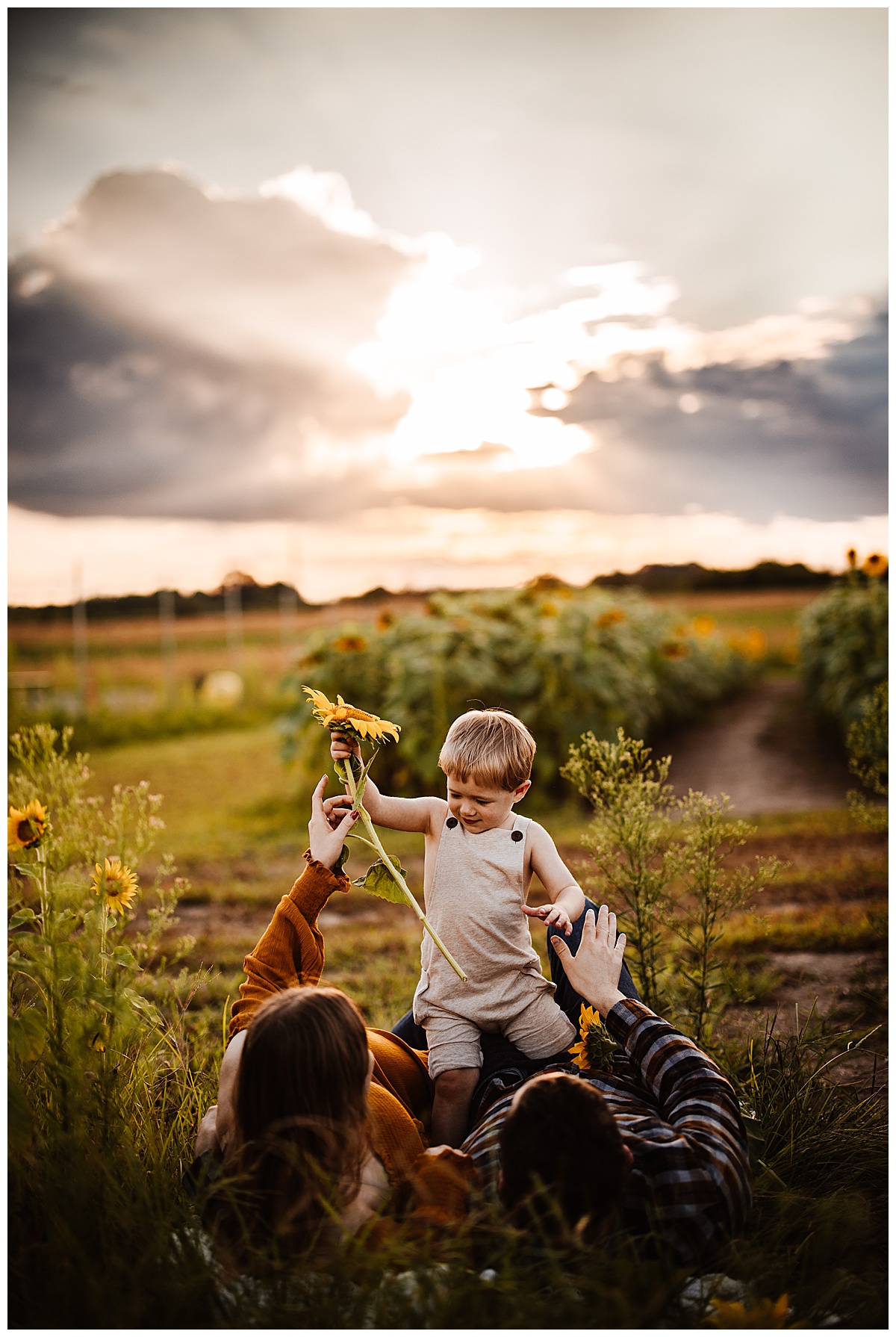 Child grabs flower by Washington DC Family Photographer