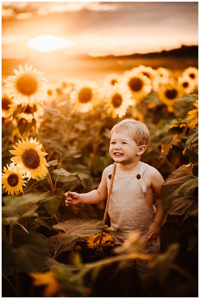 Young boy sits in flowers by Norma Fayak Photography