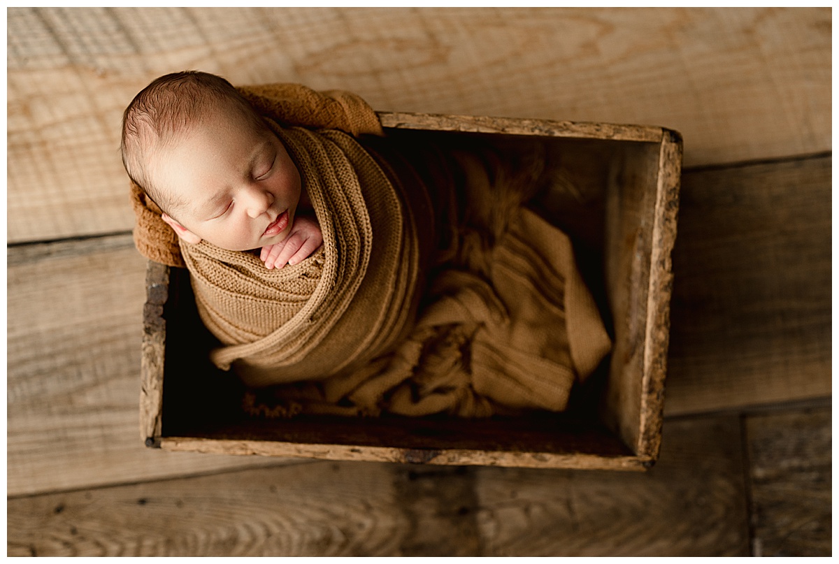 Baby in brown cradle for Norma Fayak Photography