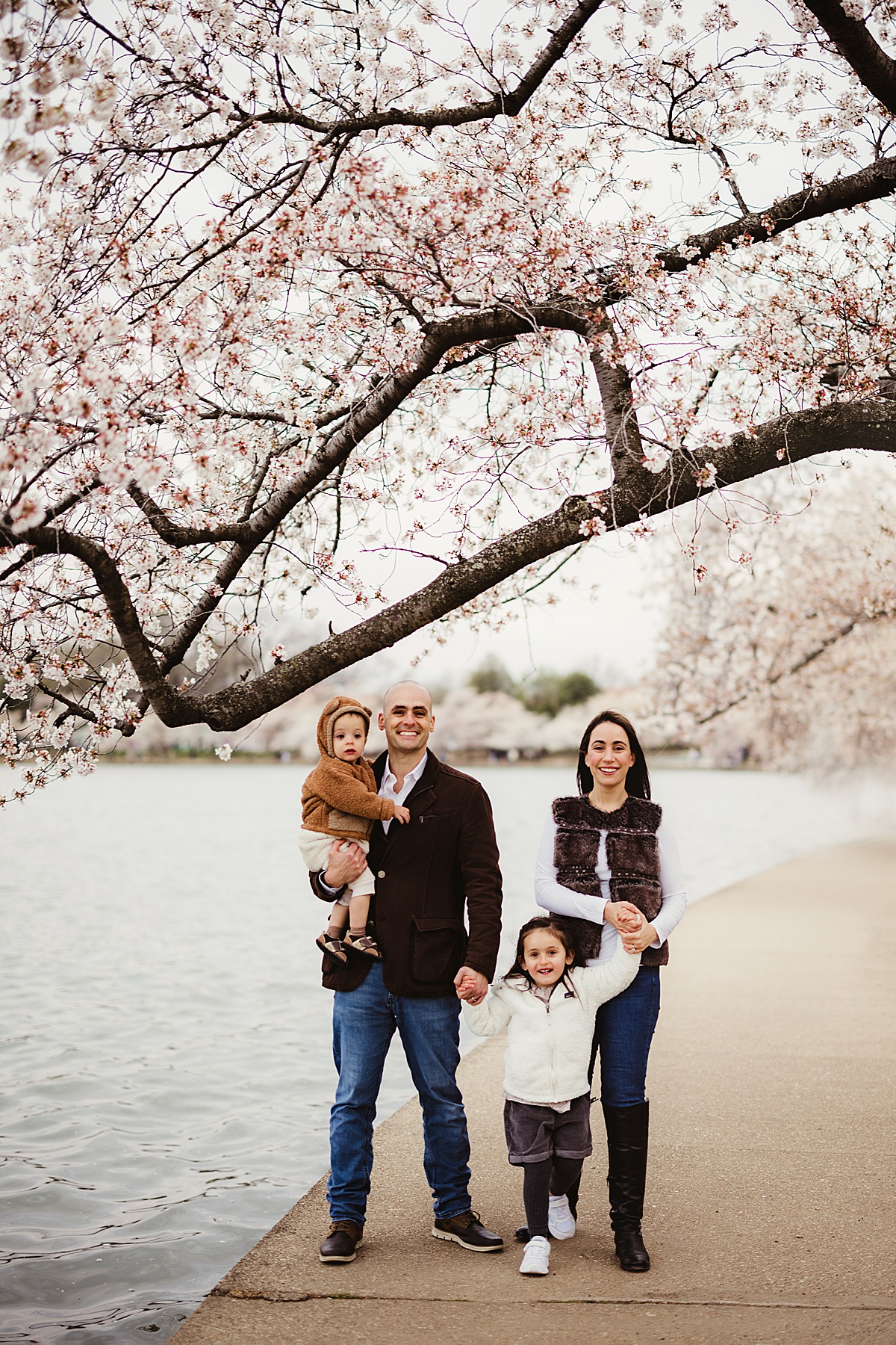Family by Cherry Blossoms by Washington DC Family Photographer
