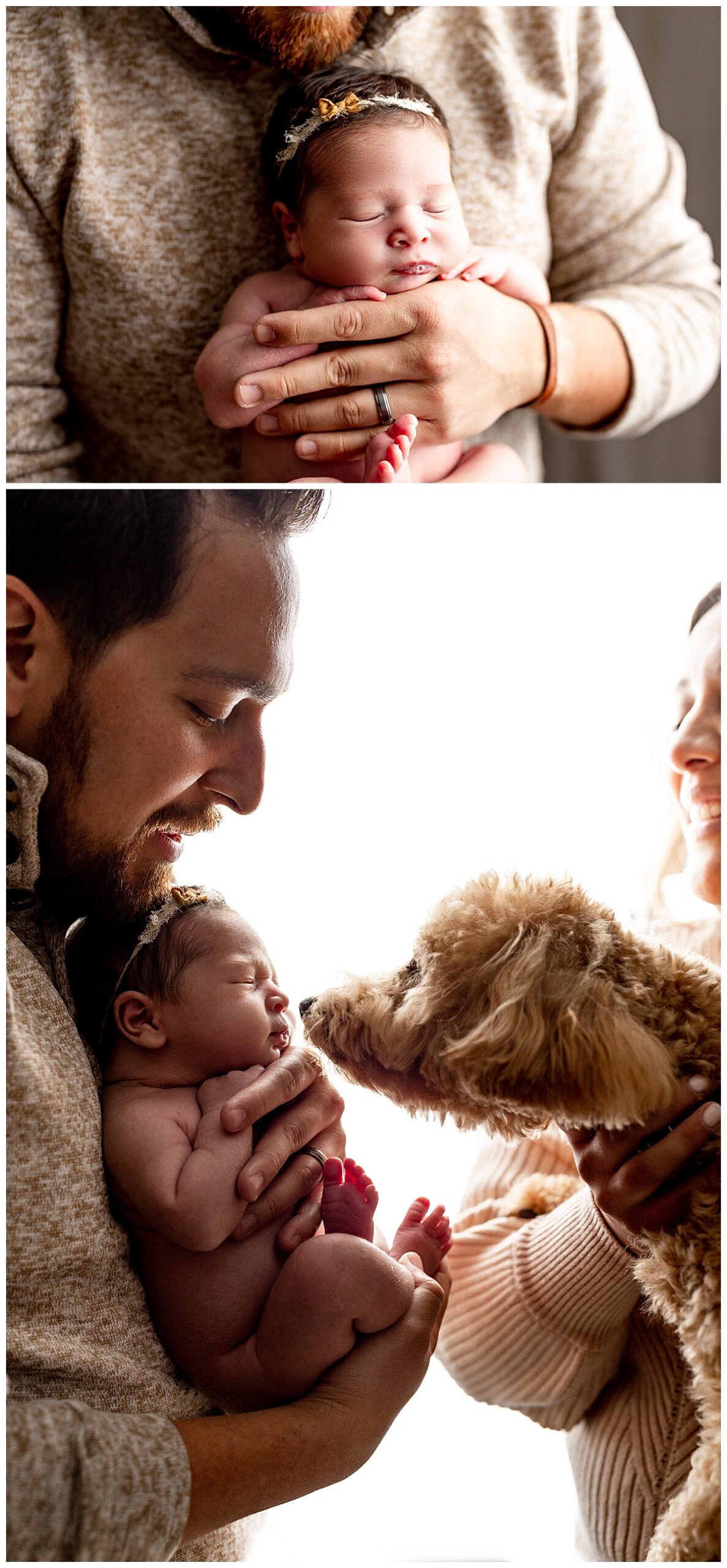 Dog kissed Posed and Perfect newborn baby