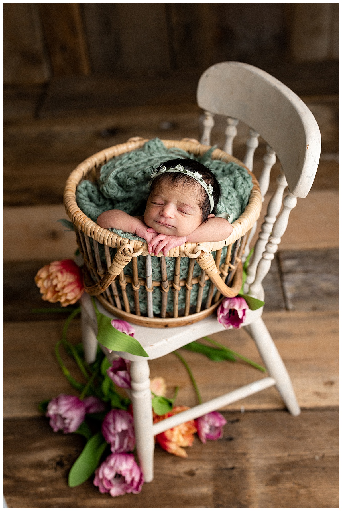 An infant sits on the basket on a chair for Norma Fayak Photography