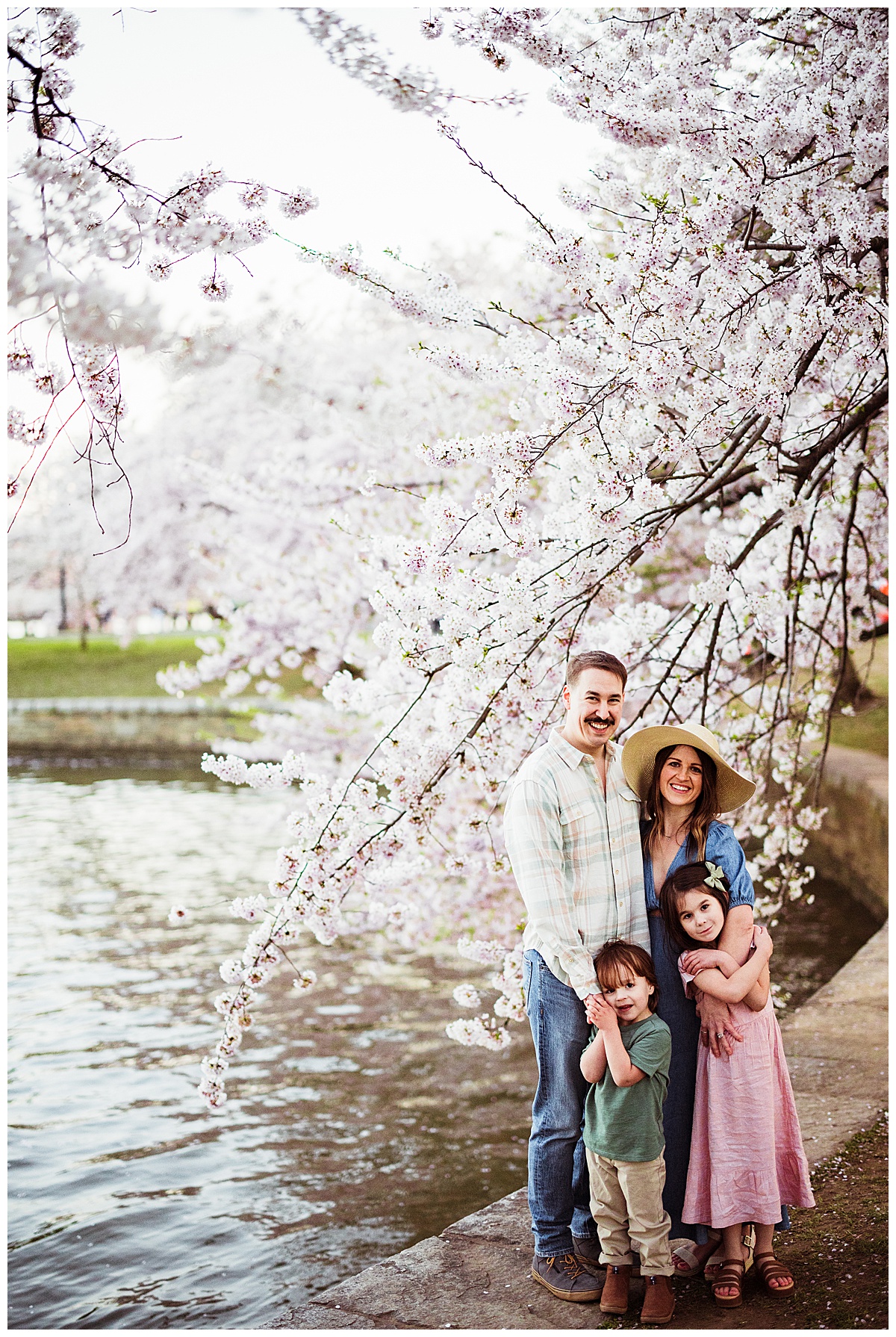 Family holds each other close standing under the Cherry Blossoms In Washington DC