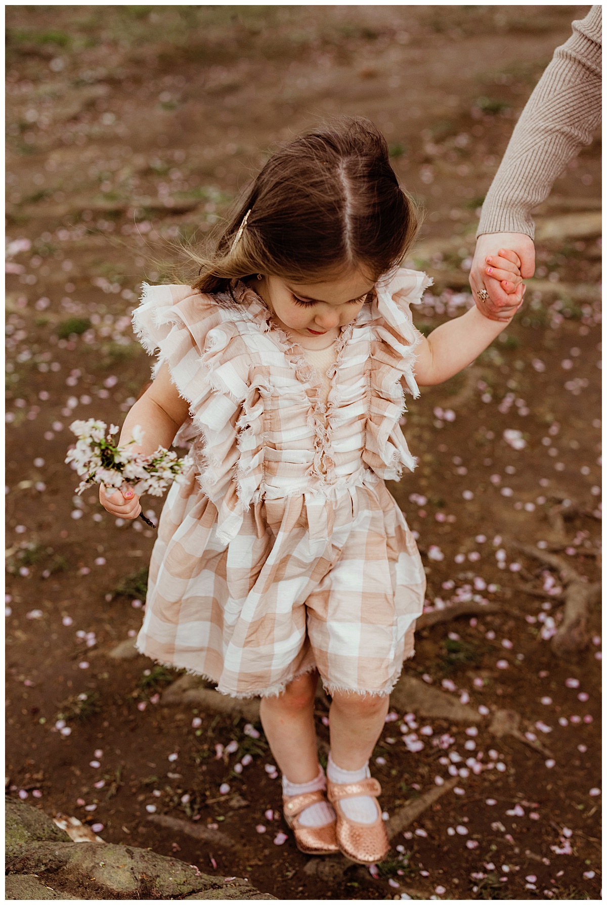 Little girl collects flowers for Norma Fayak Photography 