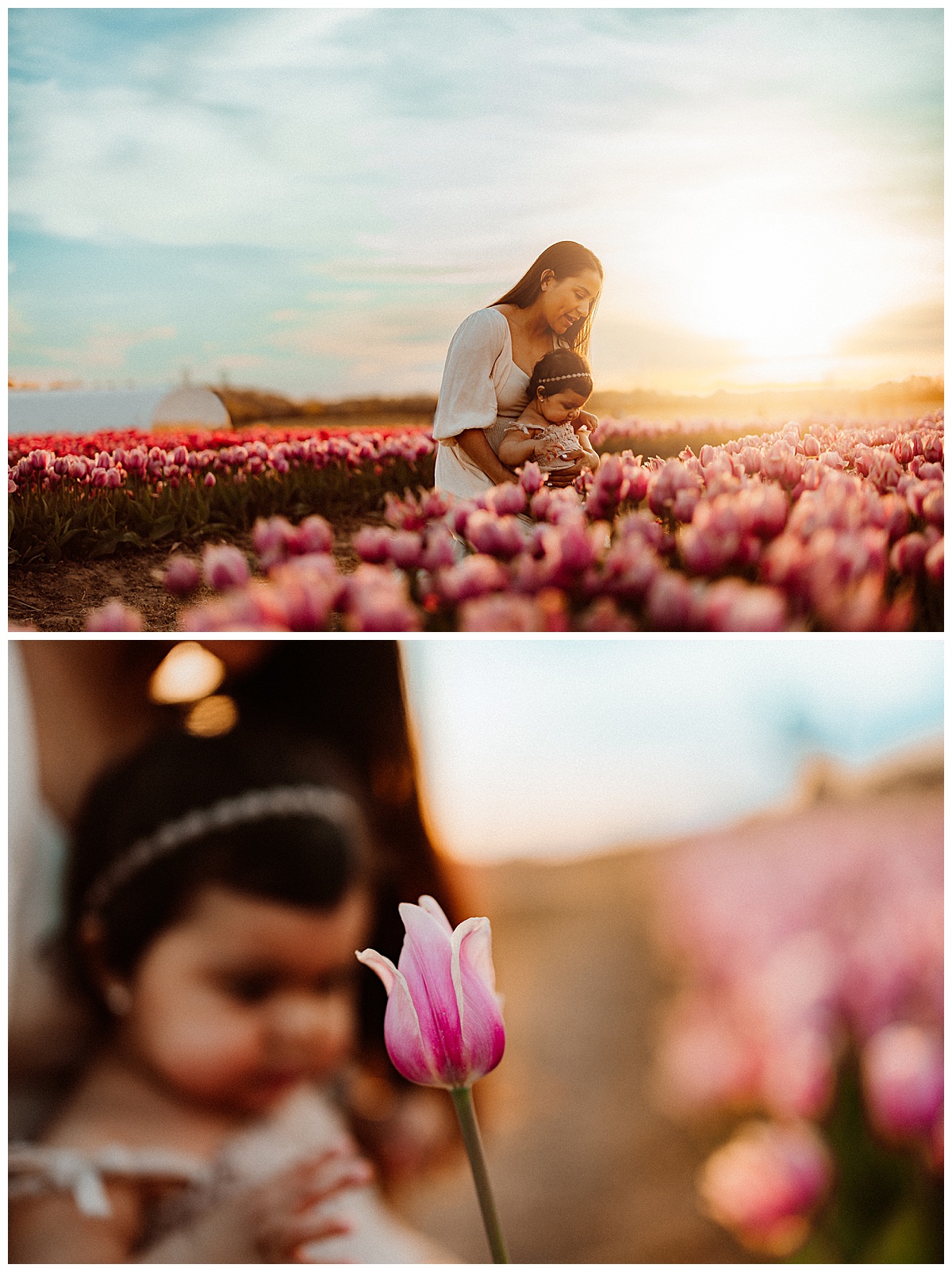 Stunning baby girl plays in gorgeous tulip field for Virginia Family Photographer