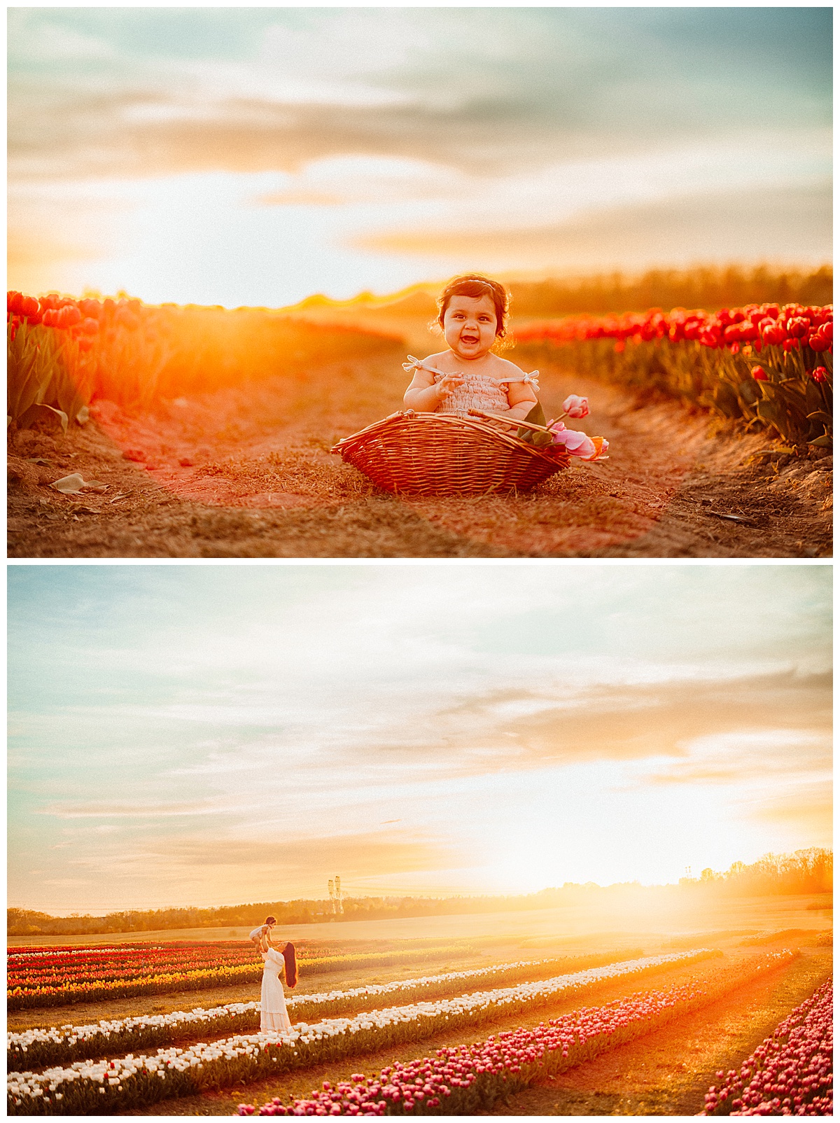 Baby girl sits in tulip field and walks with Mama during Mommy & Me session