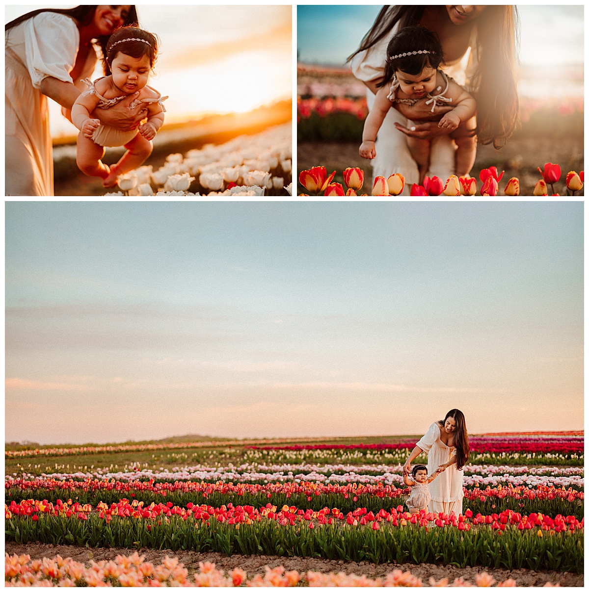 Mother plays with daughter in the tulip field for Virginia Family Photographer