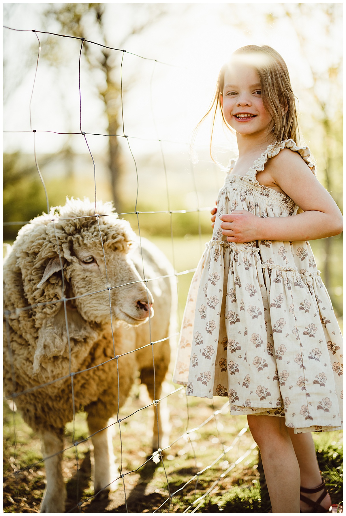 A little girl stands by a sheep during their Blue Ridge Mountains Family Photos