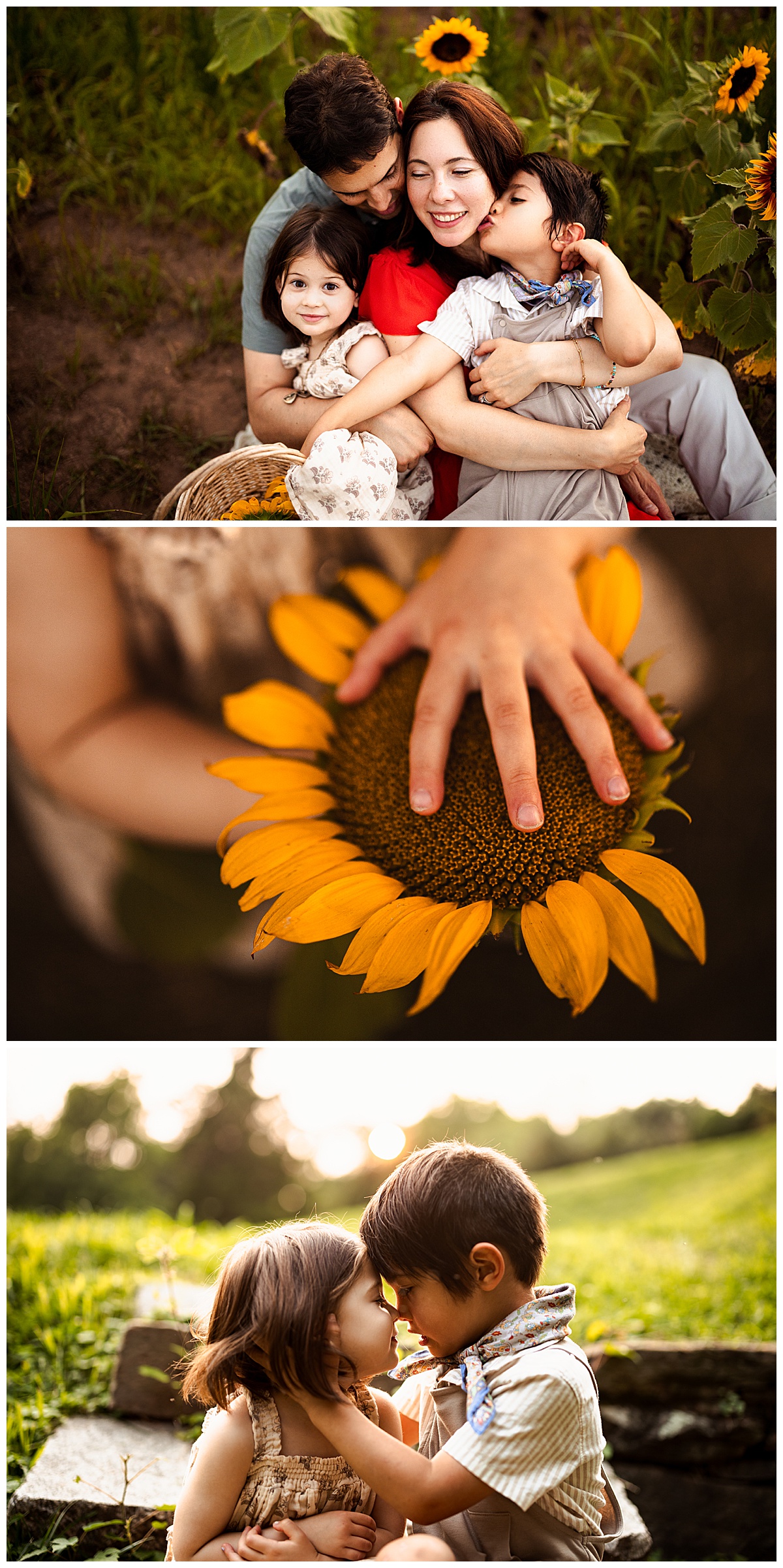 Parents enjoy the sunflower fields for Norma Fayak Photography