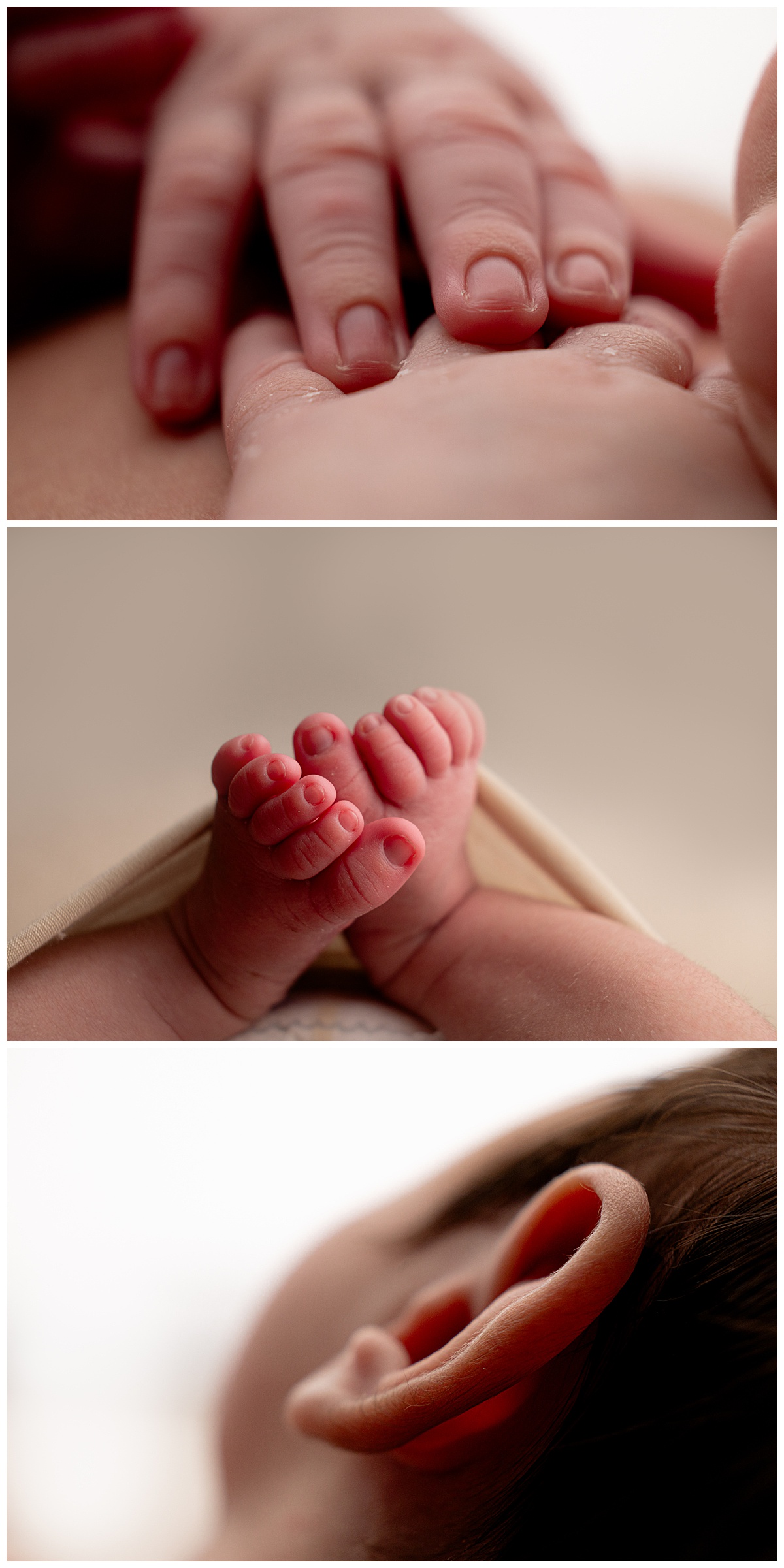 Little baby feet, hands, and ears for Virginia Newborn Photographer