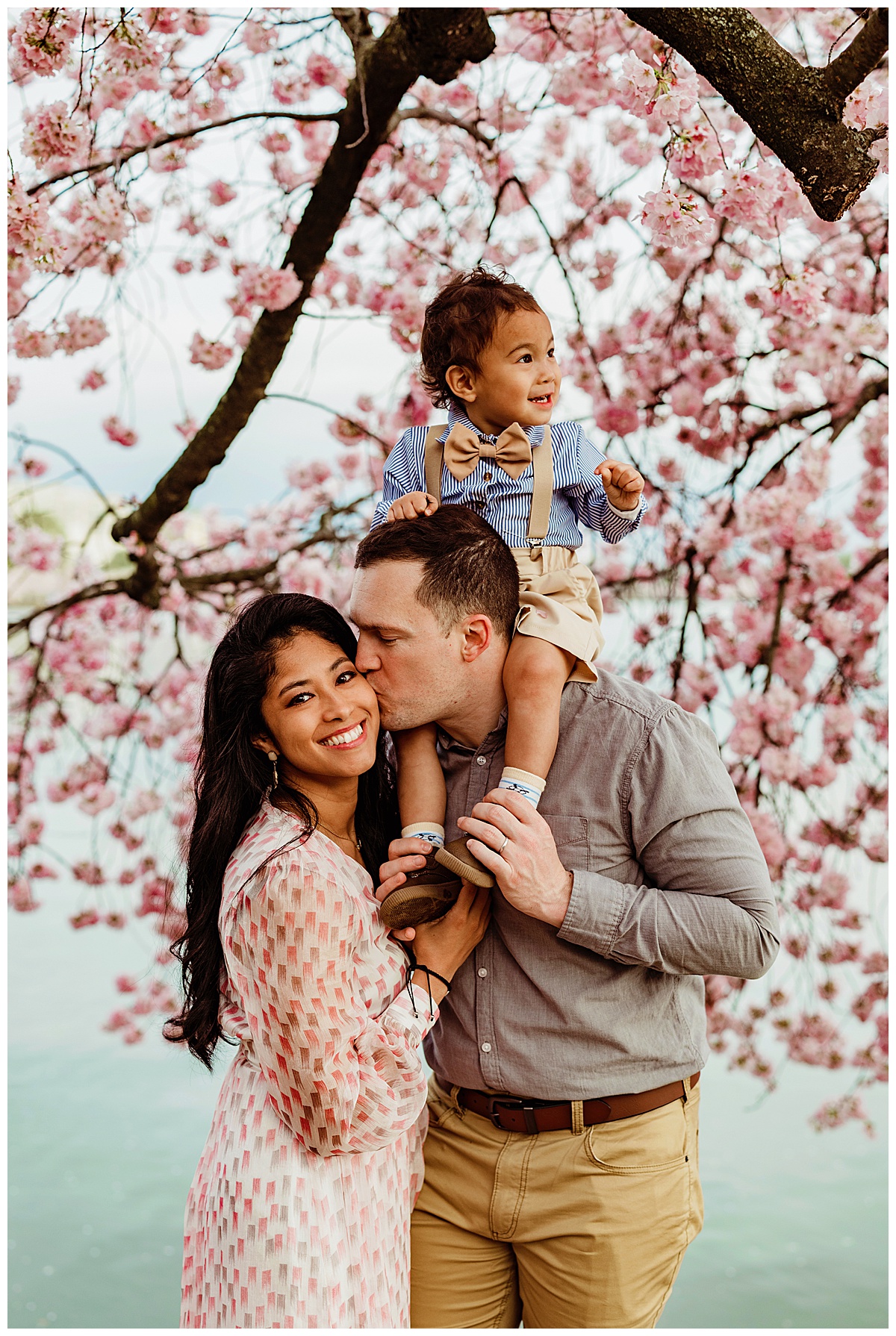 Little boy rides on dads shoulders in the Cherry Blossoms for Norma Fayak Photography