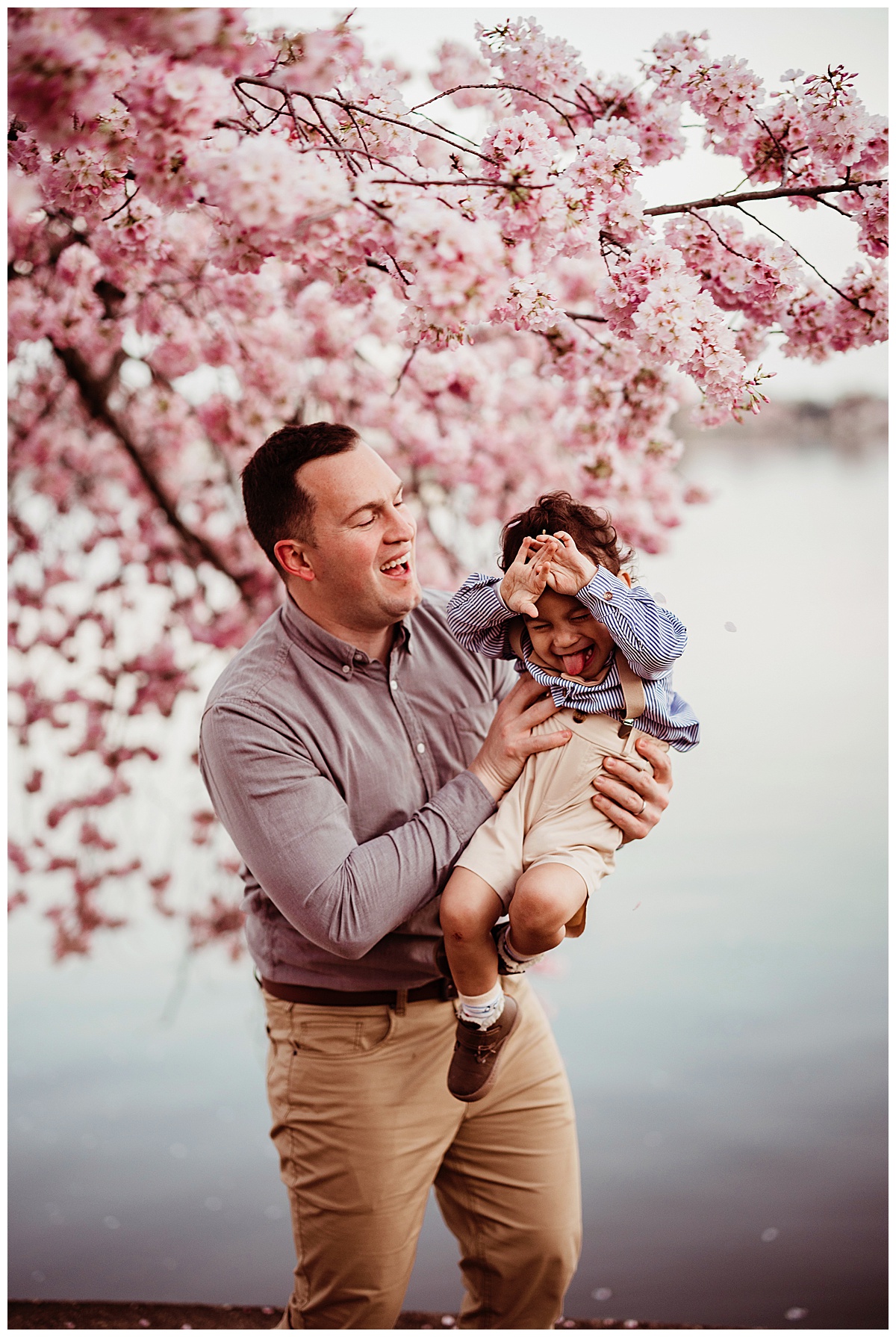 Dad plays with sone during their Washington, DC, Cherry Blossom photos