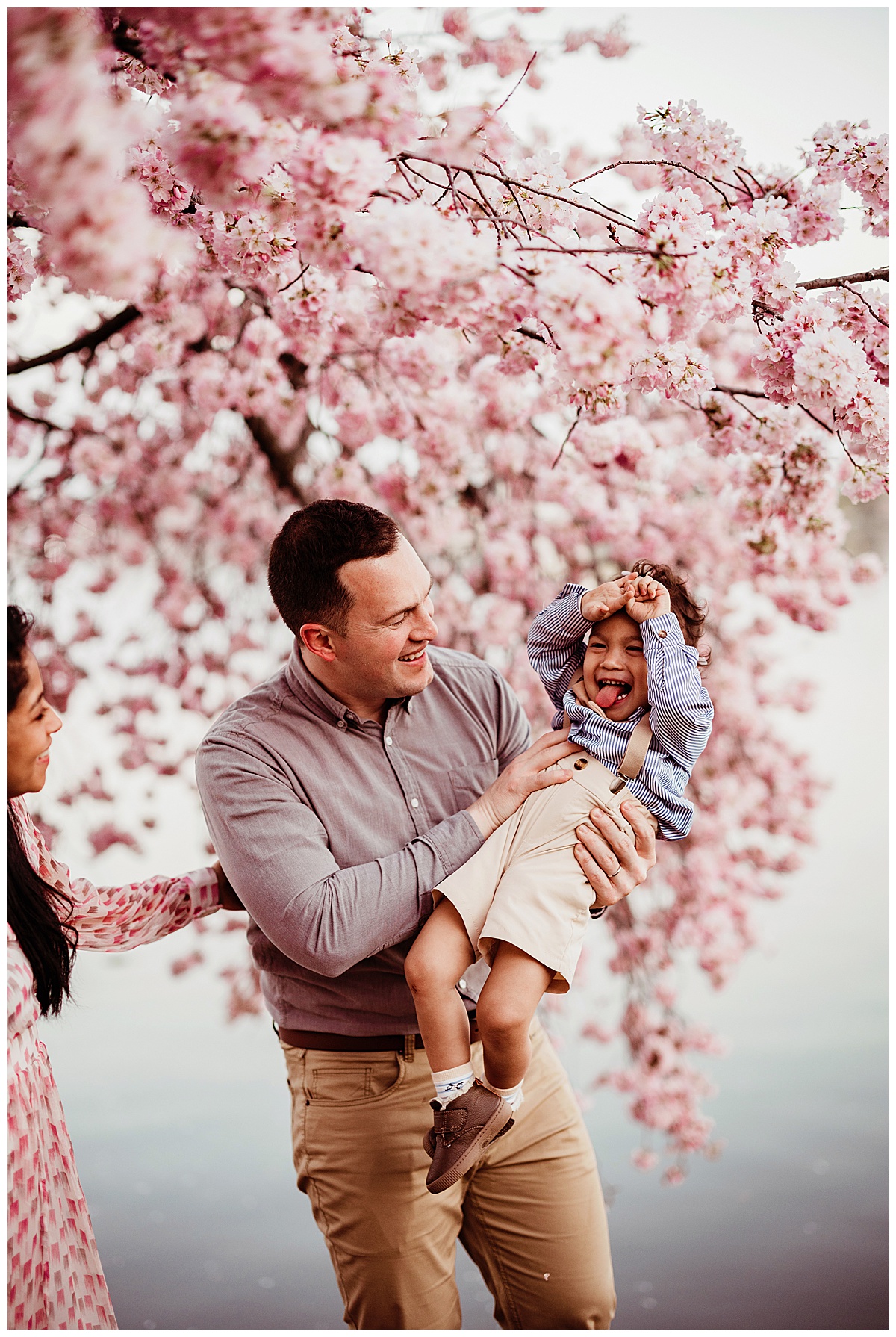 Parents play with their son under blooming Cherry Blossom tree for Norma Fayak Photography