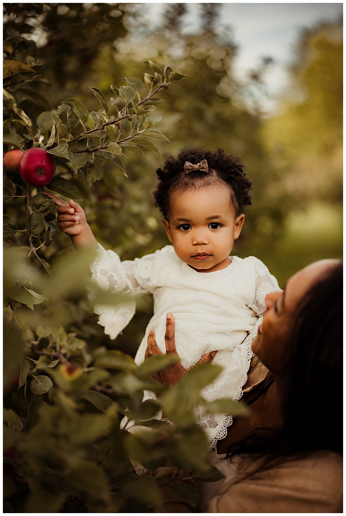 Young baby girl picks an apple for Virginia Family Photographer 